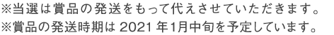  ※当選は賞品の発送を持って代えさせていただきます。※賞品の発送時期は2021年1月上旬を予定しています。